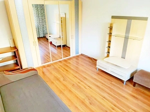 250   de euro| De închiriat apartament cu o cameră situat în Calea Șagului la parter - imagine 13
