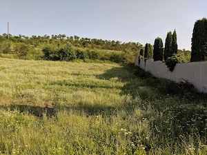 De vânzare teren 10.000 mp (1 hectar) în Sântuhalm, lângă Deva, ideal pentru dezvoltare imobiliară - imagine 4