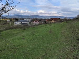 De vânzare teren 10.000 mp (1 hectar) în Sântuhalm, lângă Deva, ideal pentru dezvoltare imobiliară - imagine 6