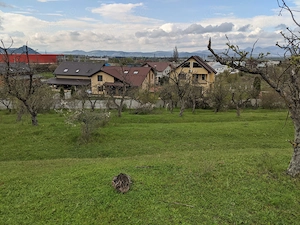 De vânzare teren 10.000 mp (1 hectar) în Sântuhalm, lângă Deva, ideal pentru dezvoltare imobiliară - imagine 2