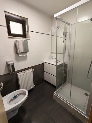 Inchiriez SAD in Dumbrăvița 150 mp 2000 euro - imagine 6