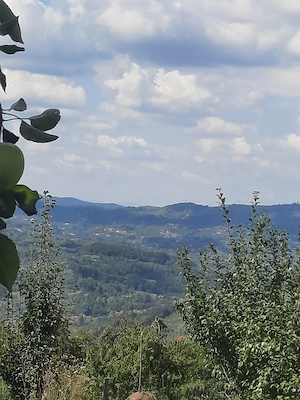 TEREN EXTRAVILAN 6.700 MP   Miclosanii Mari, Dambovita | Potential pentru INVESTIȚIE TURISTICĂ - imagine 8