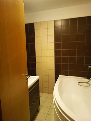 APARTAMENT CU 3 CAMERE ZONA LIPOVEI-Holdelor la 430 euro - imagine 11