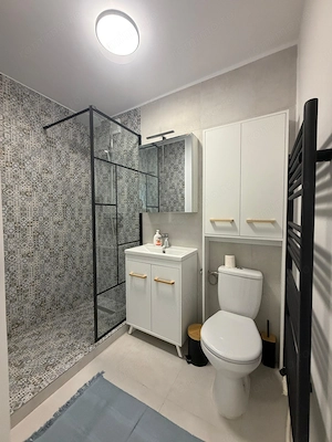 garsoniera in zona LIPOVEI LA 350 euro - imagine 17