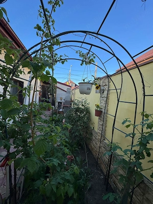 Proprietar vând casă zona Anda Cta  - imagine 2