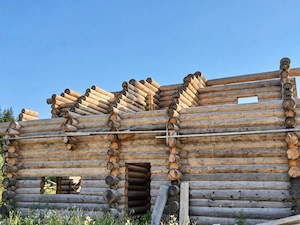 Casă din bușteni în stadiu structural - zona Strâmtura, Vama - imagine 3