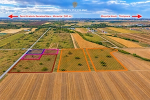Terenuri 620–767 mp, CF individual – Moșnița Nouă | 0% comision - imagine 11