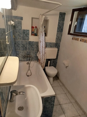 1 cameră   Platinia   USAMV   Split-level l   Parcare - imagine 10