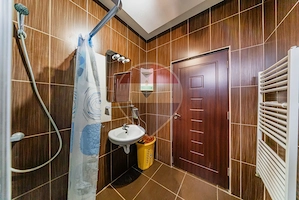 Apartament de inchiriat 2 camere Gradiste - imagine 11
