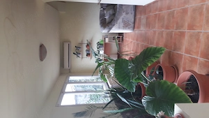 Vand casa individala cu etaj, in oras, cu 2 apartamente separate