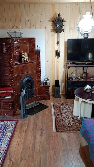 Vând sau schimb cu apartament in Giroc casă la Lacul Surduc  - imagine 3