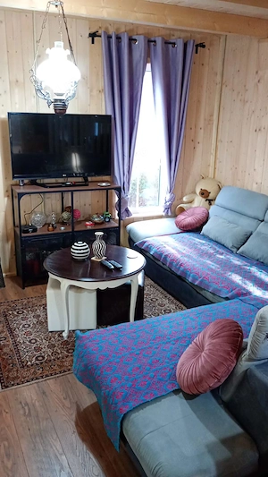 Vând sau schimb cu apartament in Giroc casă la Lacul Surduc  - imagine 2