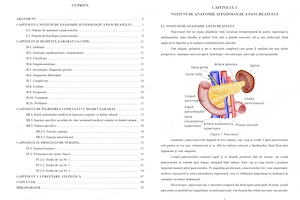Îngrijirea copilului cu Diabet Zaharat - Lucrare diplomă  licență AMG