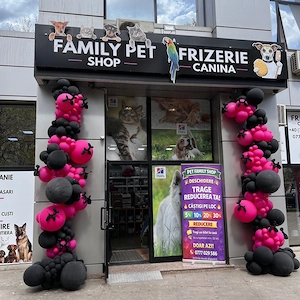 Afacere la cheie de vânzare   pet shop, grooming și punct farmaceutic veterinar   București, Sector  - imagine 5