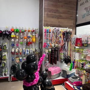 Afacere la cheie de vânzare   pet shop, grooming și punct farmaceutic veterinar   București, Sector  - imagine 3