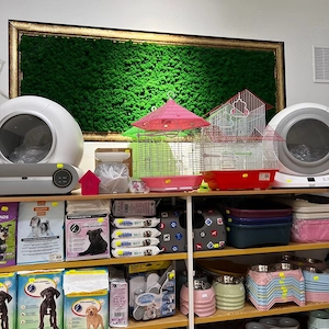 Afacere la cheie de vânzare   pet shop, grooming și punct farmaceutic veterinar   București, Sector  - imagine 2