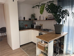 APARTAMENT 1 CAMERA - MOBILAT SI UTILAT - ZONA CENTRALA - imagine 3
