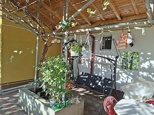 Casa pe 1000 mp teren central Drobeta Turnu Severin - imagine 7