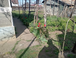 Casa de vanzare în Roznov - imagine 6
