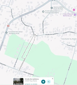 Teren intravilan Humulesti Targu Neamt 4300 mp pretabil lotizare - imagine 2