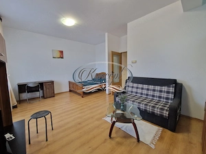 Burebista, apartament 1 camera cu balcon - imagine 3