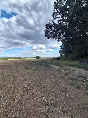 Teren intravilan Snagov 3.500 mp
