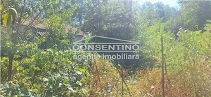 Se vinde teren intravilan 3167 mp , in sat Magura - imagine 6