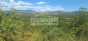 Se vinde teren intravilan 3167 mp , in sat Magura - imagine 2