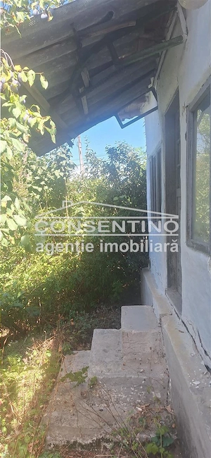Se vinde teren intravilan 3167 mp , in sat Magura - imagine 5