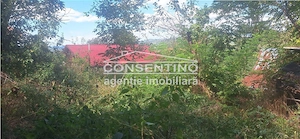 Se vinde teren intravilan 3167 mp , in sat Magura - imagine 10