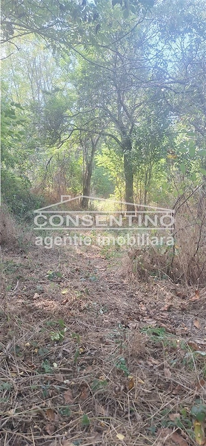 Se vinde teren intravilan 3167 mp , in sat Magura - imagine 9