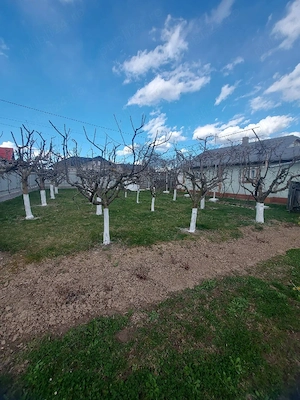 Casă +teren 2.040 MP (20 ari)de vanzare   SIMINICEA, SUCEAVA - imagine 3