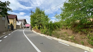Teren 4.000 mp | Front Generos 47 ml | Utilități | La Asfalt | Cricău - imagine 2