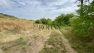 Teren 4.000 mp | Front Generos 47 ml | Utilități | La Asfalt | Cricău - imagine 6