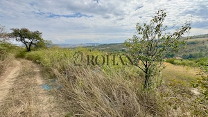 Teren 4.000 mp | Front Generos 47 ml | Utilități | La Asfalt | Cricău - imagine 9