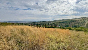 Teren 4.000 mp | Front Generos 47 ml | Utilități | La Asfalt | Cricău - imagine 8