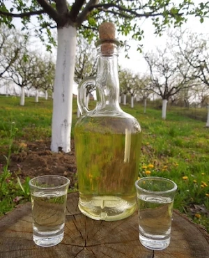 Țuică si palincă de prune Bogați, Argeș
