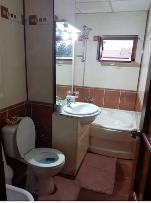 Lugoj apartament de inchiriat 2 camere 250  - imagine 3