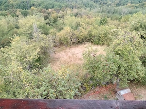 CASĂ CU TEREN LANGĂ PĂDURE - BĂBANA - imagine 12