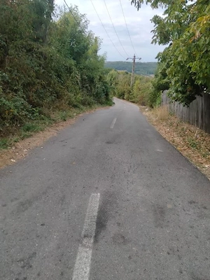 CASĂ CU TEREN LANGĂ PĂDURE - BĂBANA - imagine 14