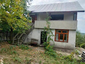 CASĂ CU TEREN LANGĂ PĂDURE - BĂBANA - imagine 3