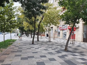 Decebal- Caut apartament de vanzare