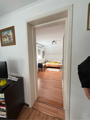 casa individuala Dumbravita Fropin - imagine 3