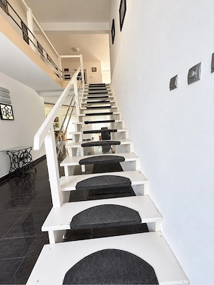 casa individuala Dumbravita Fropin - imagine 2