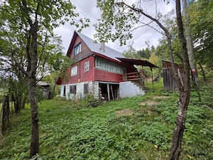 Proprietate de vânzare în Munții Apuseni - imagine 5