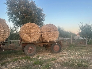 Vând baloți de tocătură