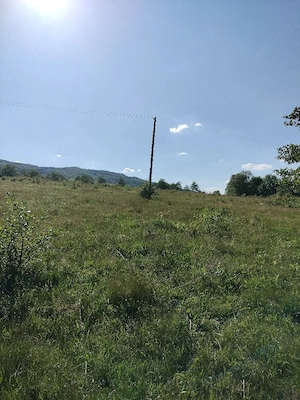 vand teren in țarină  - imagine 4