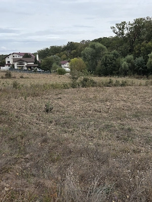 Teren 4070 mp in Scrovistea la padure si lac - imagine 2