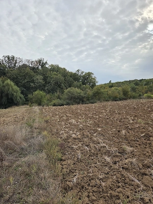 Teren 4070 mp in Scrovistea la padure si lac - imagine 3