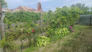 Particular casa la tara cu teren 2100mp, livadă, solar, utilitati, etc. la 60 km de Bucuresti - imagine 5